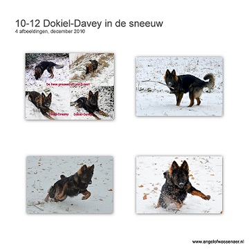 Dokiël-Davey, een oudduitse Herder in de sneeuw